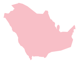 Gulf Arab 5